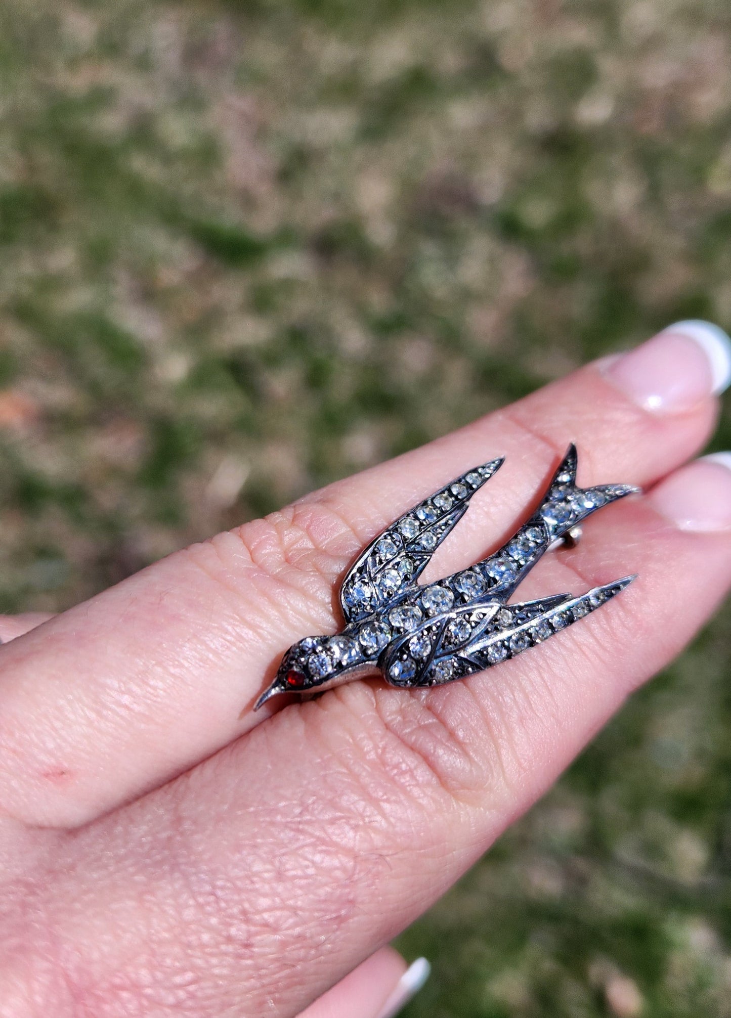 Antique Austro-Hungarian Silver Paste Swallow Brooch